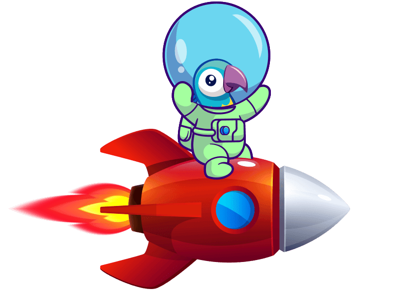Rocket customization and rewards